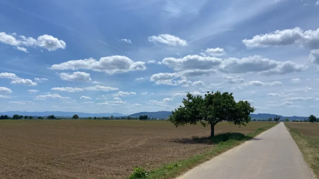 RC Sprinter Waltrop im Trainingslager Breisgau am Kaiserstuhl